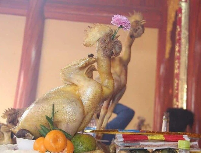Gợi ý những mẫu gà đẹp, thần thái sang chảnh để cúng rằm tháng Giêng 2 Gợi ý những mẫu gà đẹp, thần thái sang chảnh để cúng rằm tháng Giêng 2