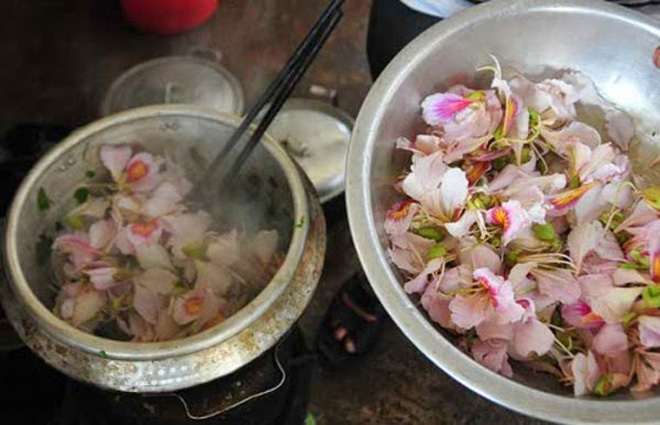 Không chỉ đẹp nao lòng, hoa ban đang bung nở ở Hà Nội còn là món ăn đặc sản gây thương nhớ 7 Không chỉ đẹp nao lòng, hoa ban đang bung nở ở Hà Nội còn là món ăn đặc sản gây thương nhớ 7