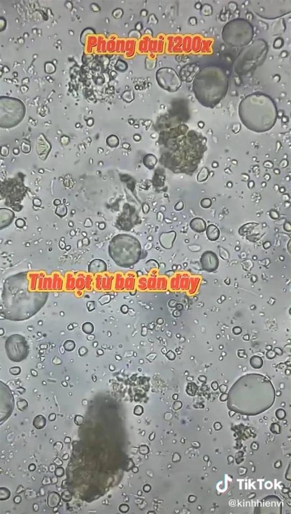 Hình ảnh bò khô siêu rẻ được soi dưới kính hiển vi khiến nhiều người không thể tin vào mắt mình 3