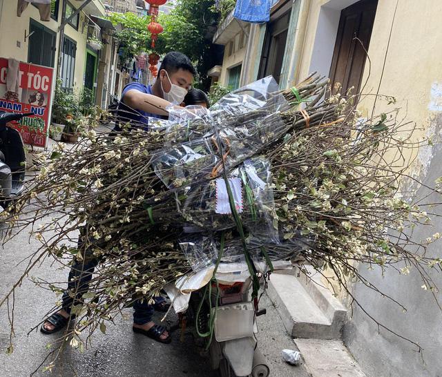 Bỏ rừng về phố, hoa táo mèo làm khuynh đảo thị trường khiến nhiều chị em mê mẩn 1 Bỏ rừng về phố, hoa táo mèo làm khuynh đảo thị trường khiến nhiều chị em mê mẩn 1
