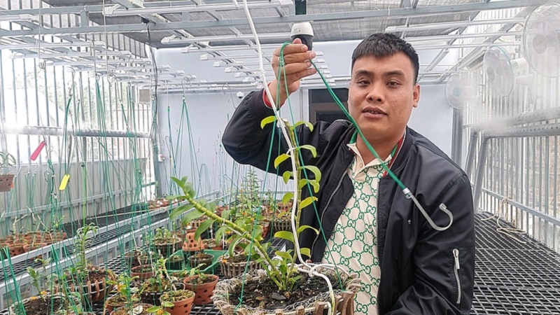 Màn giao dịch lan đột biến Ngọc Sơn Cước 250 tỷ ở Quảng Ninh: Tổng cục Thuế lên tiếng 5 Màn giao dịch lan đột biến Ngọc Sơn Cước 250 tỷ ở Quảng Ninh: Tổng cục Thuế lên tiếng 5