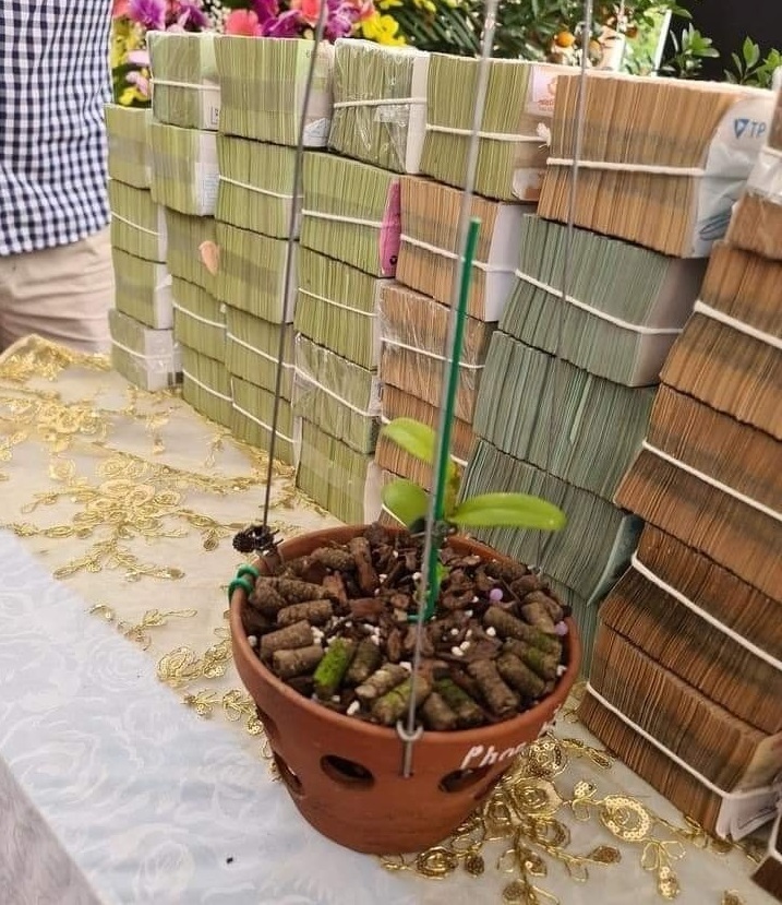 Thương vụ giao dịch lan đột biến Ngọc Sơn Cước 250 tỷ ở Quảng Ninh: Hợp đồng là có thật 3 Thương vụ giao dịch lan đột biến Ngọc Sơn Cước 250 tỷ ở Quảng Ninh: Hợp đồng là có thật 3