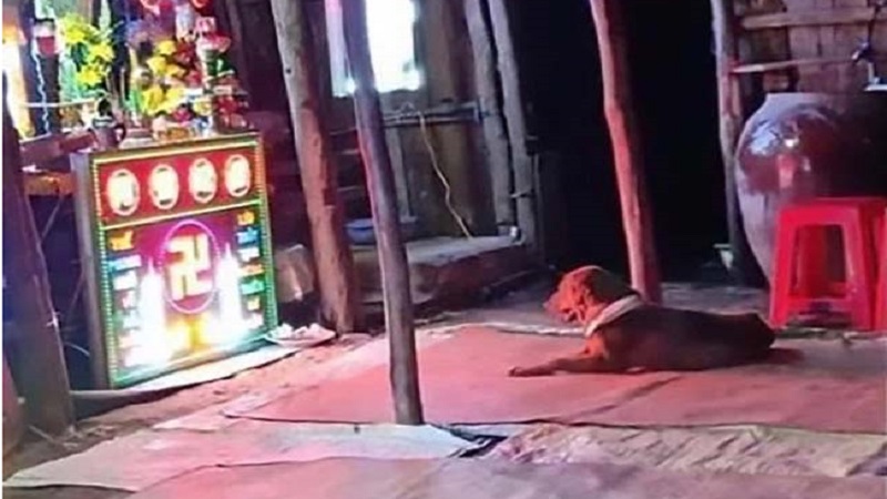 Vụ người đàn ông qua đời khi giằng co với bị 'cẩu tặc': Chú chó buồn rầu nằm trước bàn thờ chủ nhân gây xúc động 1 Vụ người đàn ông qua đời khi giằng co với bị 'cẩu tặc': Chú chó buồn rầu nằm trước bàn thờ chủ nhân gây xúc động 1
