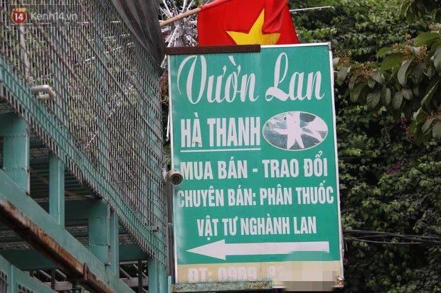 Rộ tin chủ vườn lan đột biến ở Hà Nội ôm 200 tỷ đồng bỏ trốn: 'Trước nay vẫn có tiếng là uy tín' 4 Rộ tin chủ vườn lan đột biến ở Hà Nội ôm 200 tỷ đồng bỏ trốn: 'Trước nay vẫn có tiếng là uy tín' 4