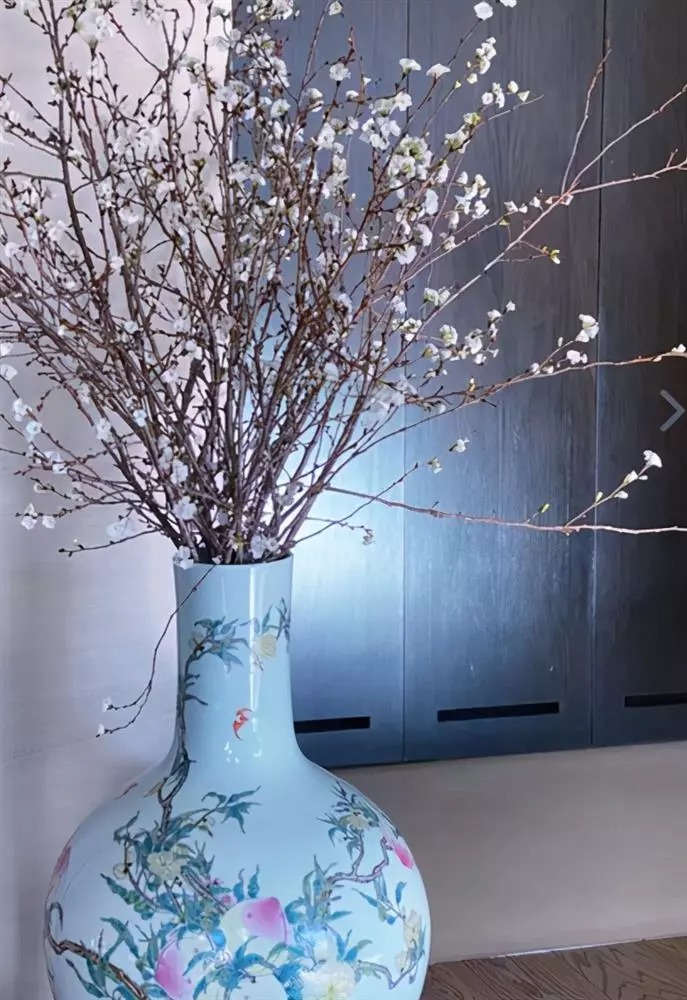 Bà xã Lương Triều Vỹ khoe cuộc sống giàu có khi mua bình hoa 18 tỷ, áo khoác hơn 7 tỷ 2 Bà xã Lương Triều Vỹ khoe cuộc sống giàu có khi mua bình hoa 18 tỷ, áo khoác hơn 7 tỷ 2