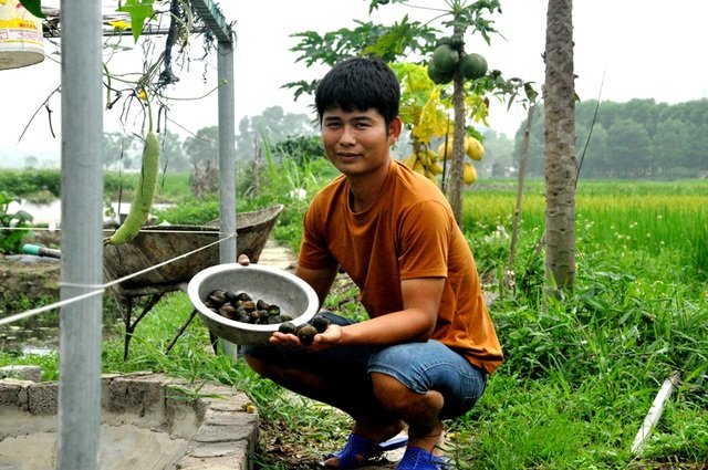Bỏ nghề điều dưỡng về quê nuôi đặc sản, chàng trai 8X kiếm nửa tỷ đồng mỗi năm 1 Bỏ nghề điều dưỡng về quê nuôi đặc sản, chàng trai 8X kiếm nửa tỷ đồng mỗi năm 1