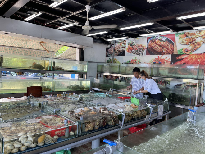 Vụ ốc hương 1,8 triệu đồng/kg: Chủ nhà hàng ở Nha Trang bị xử phạt hơn 10 triệu đồng 5 Vụ ốc hương 1,8 triệu đồng/kg: Chủ nhà hàng ở Nha Trang bị xử phạt hơn 10 triệu đồng 5
