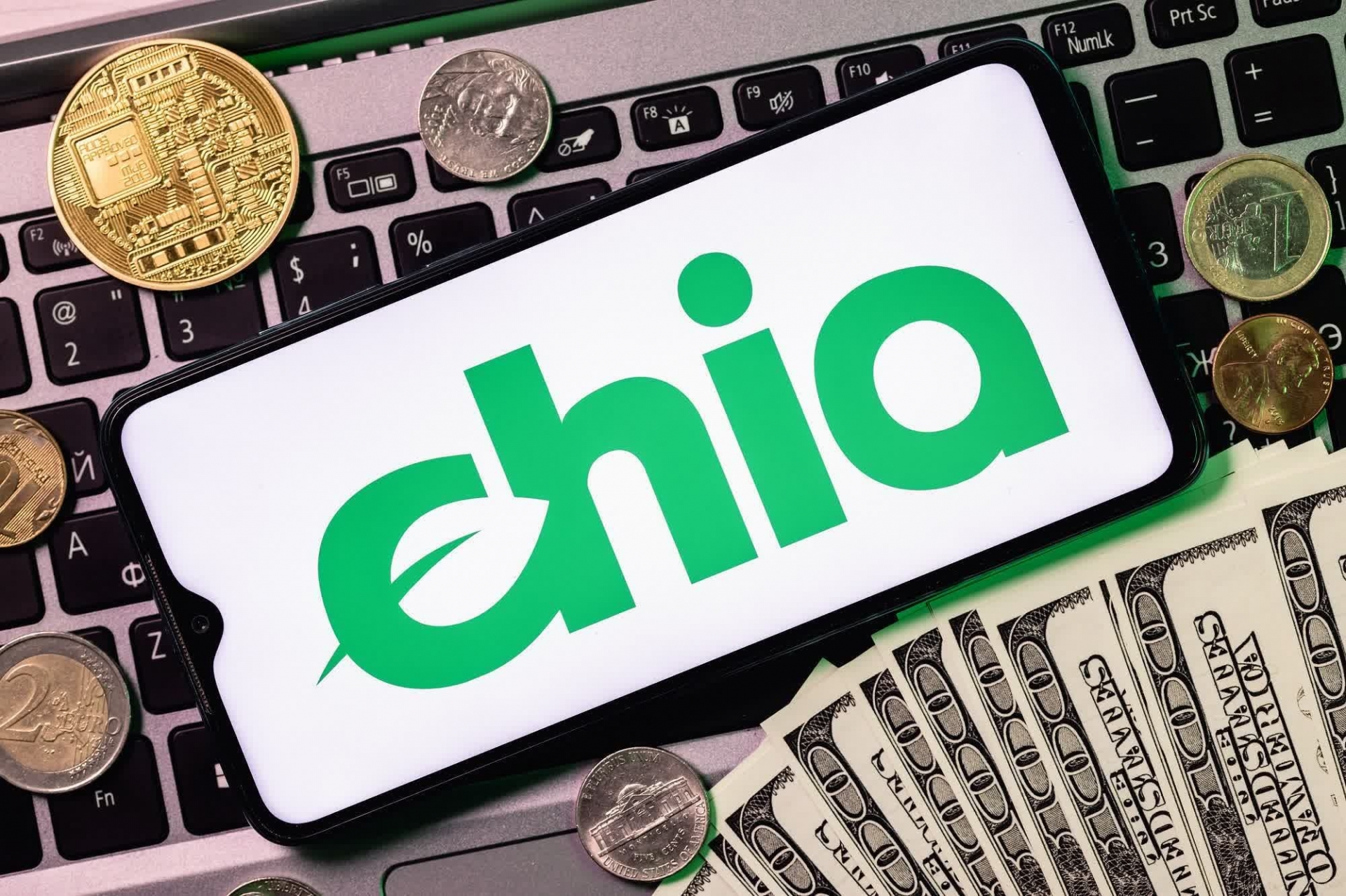 Bỏ 3 tỷ để đào 'Bitcoin xanh', chủ mỏ đào Chia thu về được 56 triệu đồng sau 2 tháng 3 Bỏ 3 tỷ để đào 'Bitcoin xanh', chủ mỏ đào Chia thu về được 56 triệu đồng sau 2 tháng 3