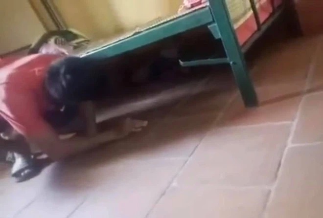 Bé trai chui gầm giường trong khu cách ly được ưu tiên cho về nhà ông bà nội cách ly 3 Bé trai chui gầm giường trong khu cách ly được ưu tiên cho về nhà ông bà nội cách ly 3