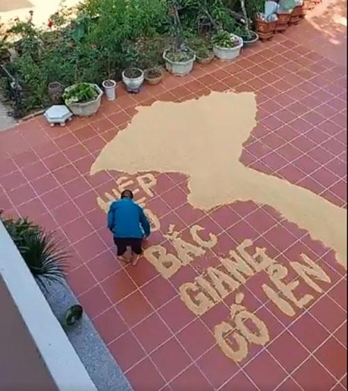 Nông dân Bắc Giang vẽ bản đồ Việt Nam bằng thóc để cổ vũ tinh thần chống dịch Covid-19 1