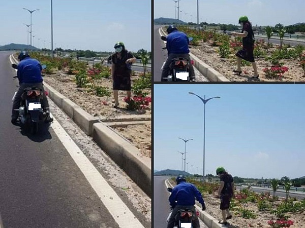 Ngao ngán cảnh tượng người dân nhổ trộm hoa giấy trên quốc lộ về trồng 4