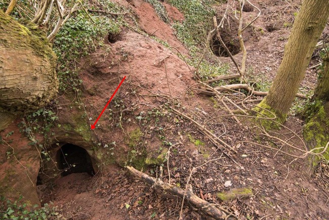 Tìm thấy lỗ chó trên đồng, liều mình chui vào phát hiện bí mật giấu kín 700 năm 1