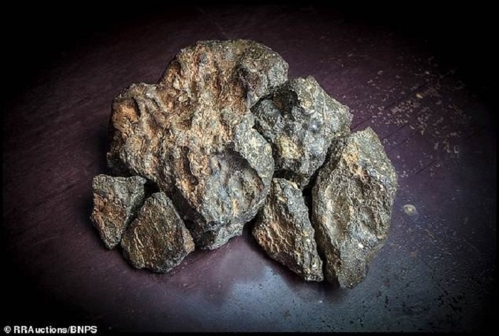 Cục đá xù xì 'du hành' từ Mặt Trăng xuống Trái Đất được đấu giá 11,6 tỷ đồng 2