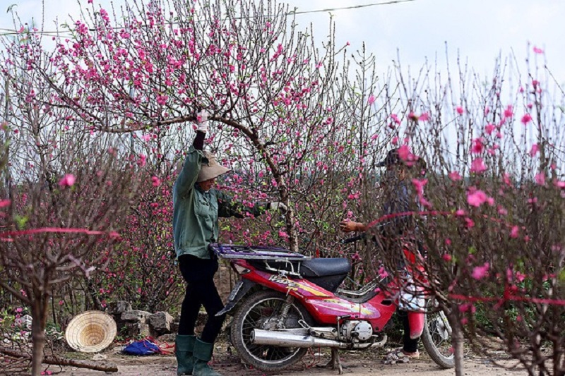 Bản tin dự báo thời tiết đêm nay, ngày mai 4-5/2: Sương mù giăng lối, có nơi có mưa nhỏ 1 Bản tin dự báo thời tiết đêm nay, ngày mai 4-5/2: Sương mù giăng lối, có nơi có mưa nhỏ 1