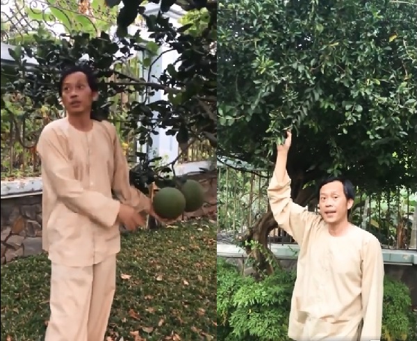 Tin Sao Việt giải trí hot nhất MXH 24h: Hoài Linh giới thiệu vườn bưởi bạc tỷ trong nhà thờ Tổ, Phi Thanh Vân bị nợ 1 tỷ 8 4 Tin Sao Việt giải trí hot nhất MXH 24h: Hoài Linh giới thiệu vườn bưởi bạc tỷ trong nhà thờ Tổ, Phi Thanh Vân bị nợ 1 tỷ 8 4