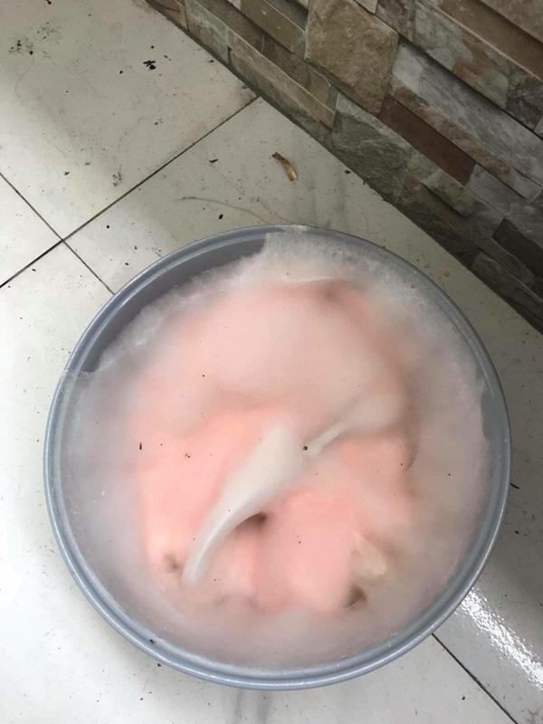 Muôn kiểu quên đồ ăn về nghỉ Tết của CĐM: Cơm mốc như kẹo bông, tủ lạnh nhiều sinh vật lạ ghé thăm 4 Muôn kiểu quên đồ ăn về nghỉ Tết của CĐM: Cơm mốc như kẹo bông, tủ lạnh nhiều sinh vật lạ ghé thăm 4