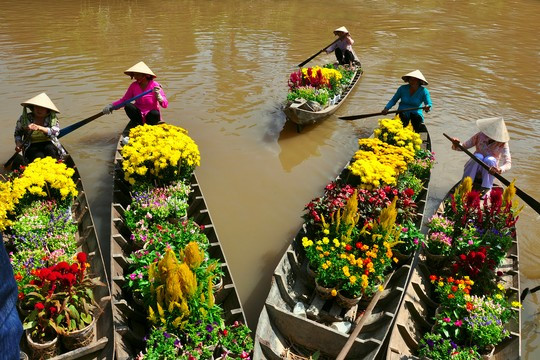 Chuyên gia thông tin về thời tiết cả nước dịp Tết Nguyên đán Tân Sửu 2021: Miền Bắc ấm áp 2 Chuyên gia thông tin về thời tiết cả nước dịp Tết Nguyên đán Tân Sửu 2021: Miền Bắc ấm áp 2