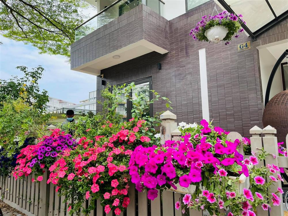 Chuẩn bị đón năm mới, Nhật Kim Anh khiến bao người choáng ngợp bởi hành động của mình 3 Chuẩn bị đón năm mới, Nhật Kim Anh khiến bao người choáng ngợp bởi hành động của mình 3
