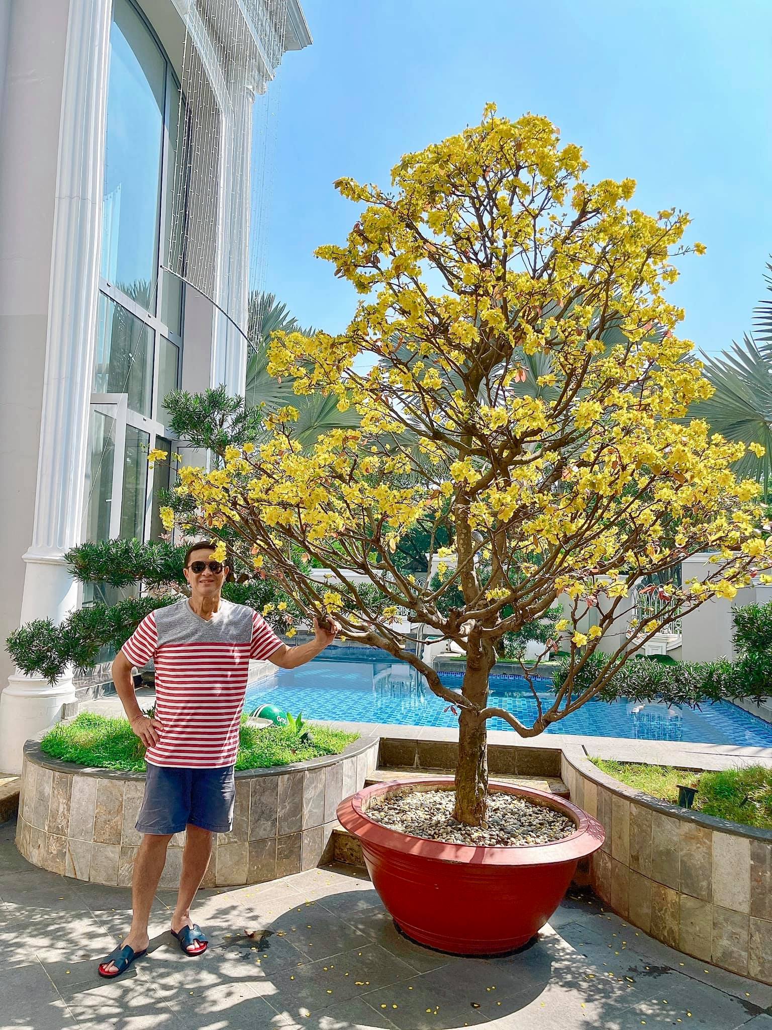 Sao Việt rộn ràng chuẩn bị Tết: Ngọc Trinh diện áo tứ thân gói bánh, Bảo Thy, Nhật Kim Anh trưng tết với cây cảnh 9 Sao Việt rộn ràng chuẩn bị Tết: Ngọc Trinh diện áo tứ thân gói bánh, Bảo Thy, Nhật Kim Anh trưng tết với cây cảnh 9