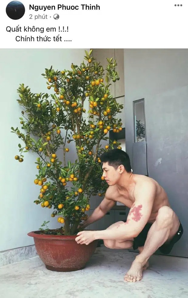 'Giả vờ' trang hoàng nhà cửa đón Tết, thực ra Noo Phước Thịnh đang 'trá hình' khoe cơ thể vạm vỡ? 1 'Giả vờ' trang hoàng nhà cửa đón Tết, thực ra Noo Phước Thịnh đang 'trá hình' khoe cơ thể vạm vỡ? 1