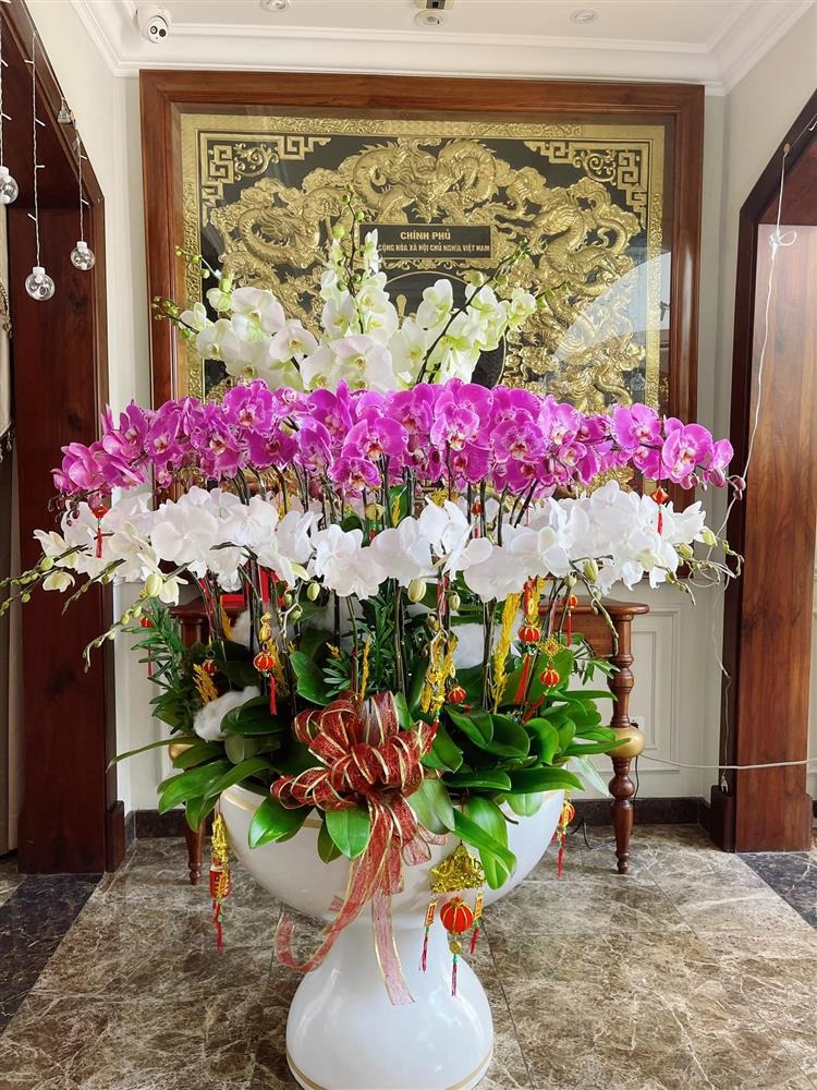 Bóc giá loạt cây cảnh chơi Tết trong biệt thự triệu đô của Bảo Thy, ước tính sơ sơ đã vài trăm triệu 2 Bóc giá loạt cây cảnh chơi Tết trong biệt thự triệu đô của Bảo Thy, ước tính sơ sơ đã vài trăm triệu 2