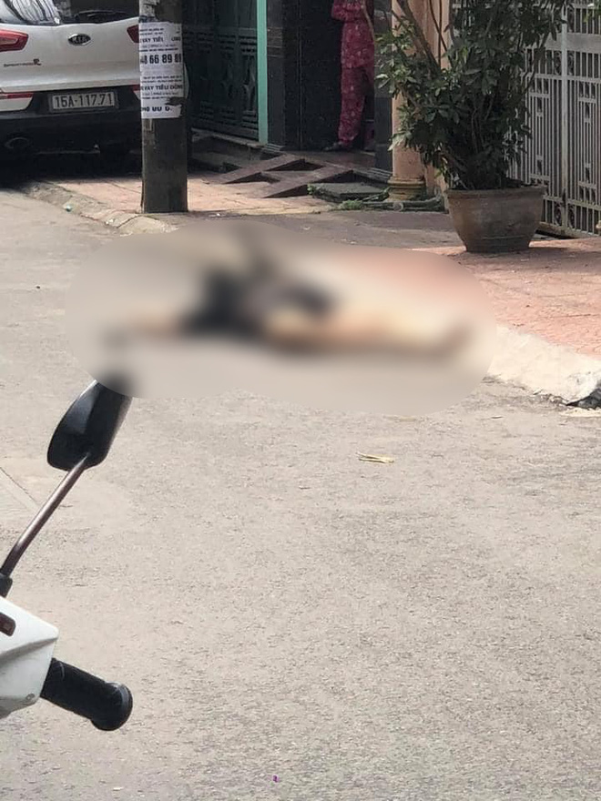 Hải Phòng: Cháu đâm bác gái tử vong, thi thể nằm bên đường vẫn còn con dao găm vào người 1 Hải Phòng: Cháu đâm bác gái tử vong, thi thể nằm bên đường vẫn còn con dao găm vào người 1