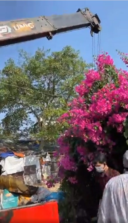 'Lao lực' vì người hâm mộ, Đàm Vĩnh Hưng có ý định đổi nghề 2 'Lao lực' vì người hâm mộ, Đàm Vĩnh Hưng có ý định đổi nghề 2