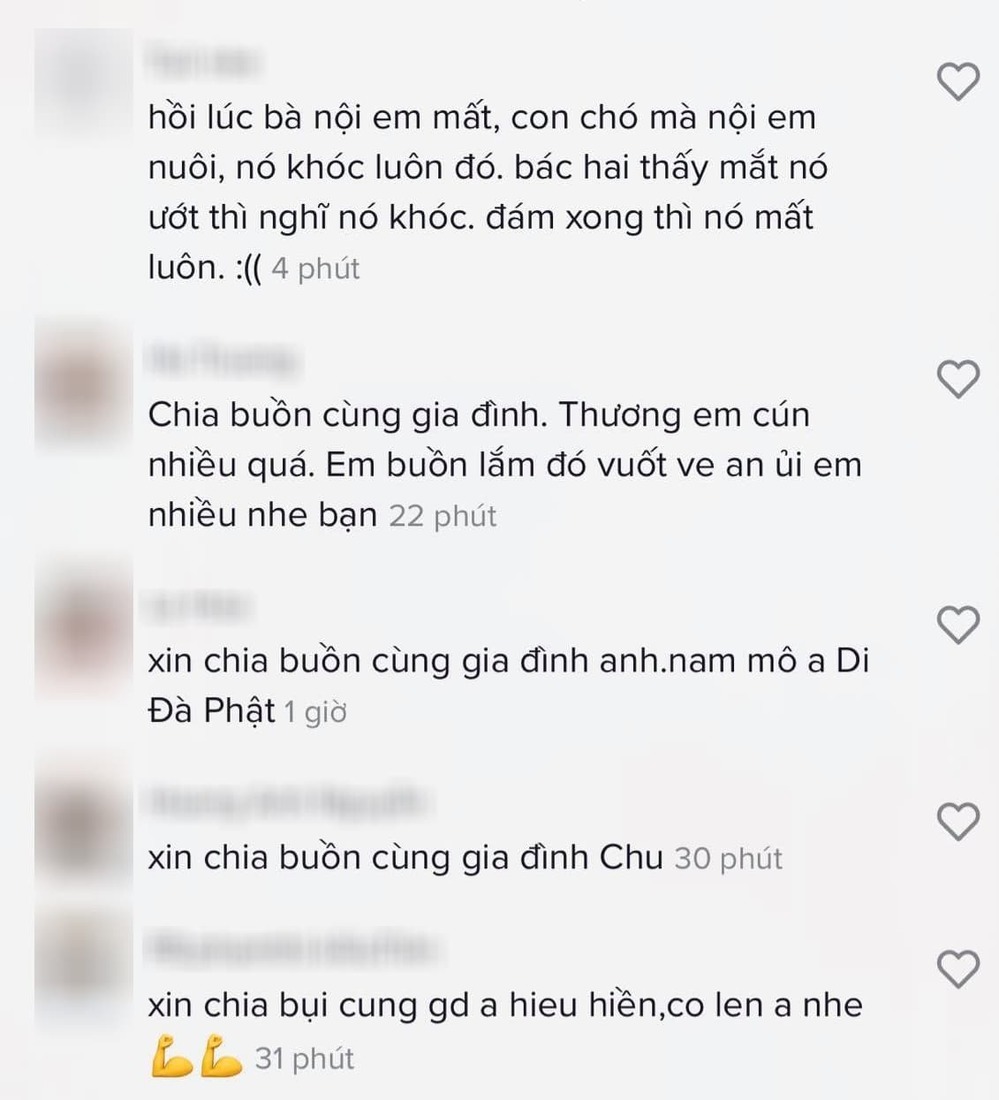 Xôn xao khoảnh khắc đeo khăn trắng, buồn rầu trong đám tang chủ của chú chó được bố Hiếu Hiền nuôi nấng 4 Xôn xao khoảnh khắc đeo khăn trắng, buồn rầu trong đám tang chủ của chú chó được bố Hiếu Hiền nuôi nấng 4