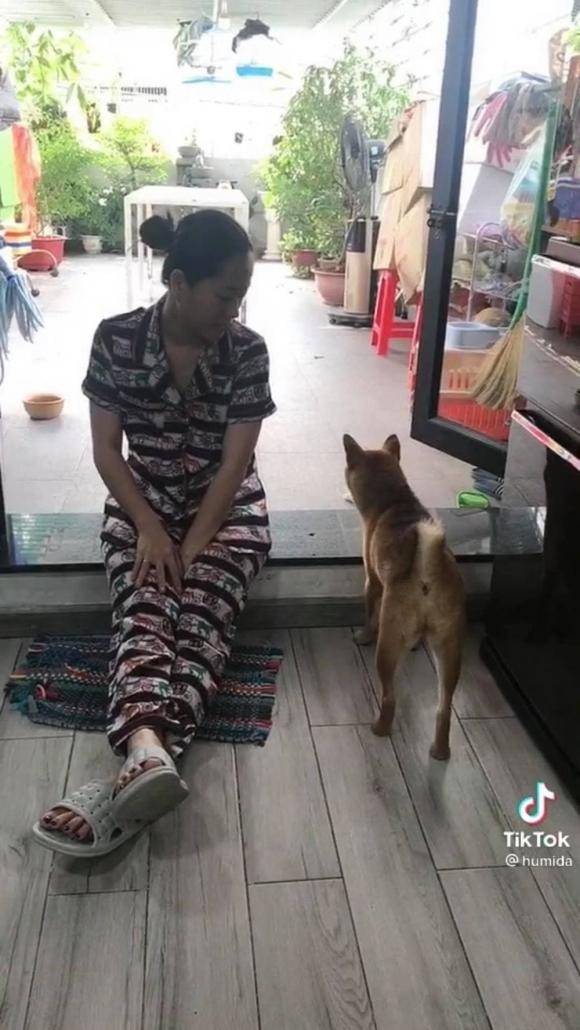 Lâm Vỹ Dạ bị ông xã 'bán đứng' khi công khai loạt hình ảnh muốn chôn giấu của nữ diễn viên 3 Lâm Vỹ Dạ bị ông xã 'bán đứng' khi công khai loạt hình ảnh muốn chôn giấu của nữ diễn viên 3