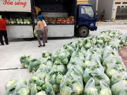Chuyên gia y tế lên tiếng việc nông sản giải cứu vùng dịch có lây nhiễm SARS-CoV-2 không? 2 Chuyên gia y tế lên tiếng việc nông sản giải cứu vùng dịch có lây nhiễm SARS-CoV-2 không? 2