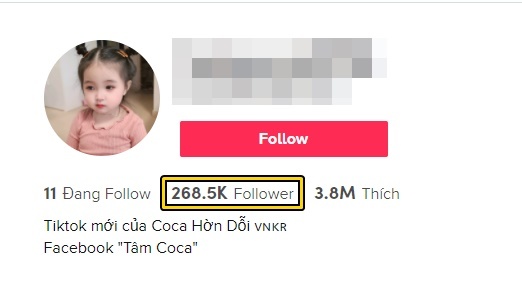 Xuất hiện công chúa tik tok ‘2 dòng máu’, mới 3 tuổi đã có ‘vạn người mê’ 1 Xuất hiện công chúa tik tok ‘2 dòng máu’, mới 3 tuổi đã có ‘vạn người mê’ 1