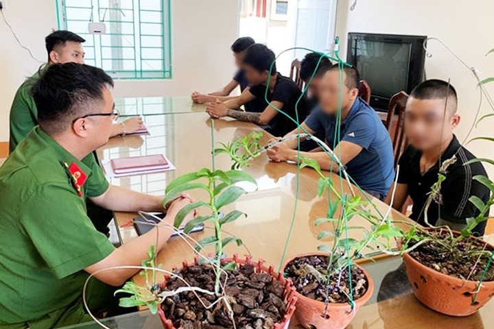 Công an tóm gọn vụ mua lan đột biến tiền tỷ: Tiền mất tật mang 2 Công an tóm gọn vụ mua lan đột biến tiền tỷ: Tiền mất tật mang 2