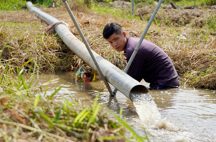 Người dân miền Tây cần thận trọng dùng nước tưới tiêu do hạn mặn trong 3 ngày tới 2 Người dân miền Tây cần thận trọng dùng nước tưới tiêu do hạn mặn trong 3 ngày tới 2