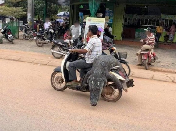 Phong cách thồ hàng nguyên con của dân buôn Việt làm dân tình phải ‘toát mồ hôi’ 2 Phong cách thồ hàng nguyên con của dân buôn Việt làm dân tình phải ‘toát mồ hôi’ 2