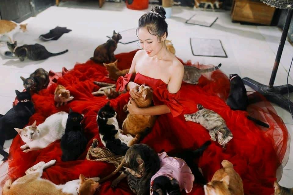 Cặp đôi ‘con sen’ chụp ảnh cưới cùng 300 chú chó, mèo do mình nuôi dưỡng 1 Cặp đôi ‘con sen’ chụp ảnh cưới cùng 300 chú chó, mèo do mình nuôi dưỡng 1