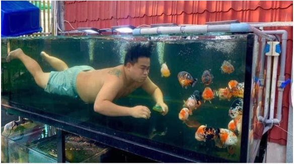 Trốn trông con, chồng nhảy vào bể cá chơi khiến cô vợ 'cạn lời' 3 Trốn trông con, chồng nhảy vào bể cá chơi khiến cô vợ 'cạn lời' 3