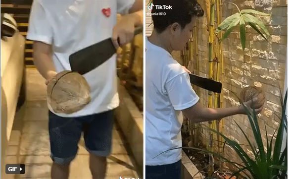 Nhã Phương thót tim với màn bổ dừa cực lầy của Trường Giang 2 Nhã Phương thót tim với màn bổ dừa cực lầy của Trường Giang 2
