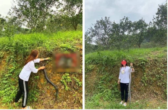 'Nữ ninja' bắt rắn bằng tay không khiến cộng đồng mạng nể phục 4 'Nữ ninja' bắt rắn bằng tay không khiến cộng đồng mạng nể phục 4