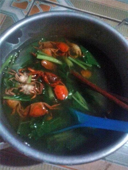 Nấu canh cà chua khi ra mắt nhà bạn trai, cô gái khiến dân mạng 'cạn lời' 2 Nấu canh cà chua khi ra mắt nhà bạn trai, cô gái khiến dân mạng 'cạn lời' 2