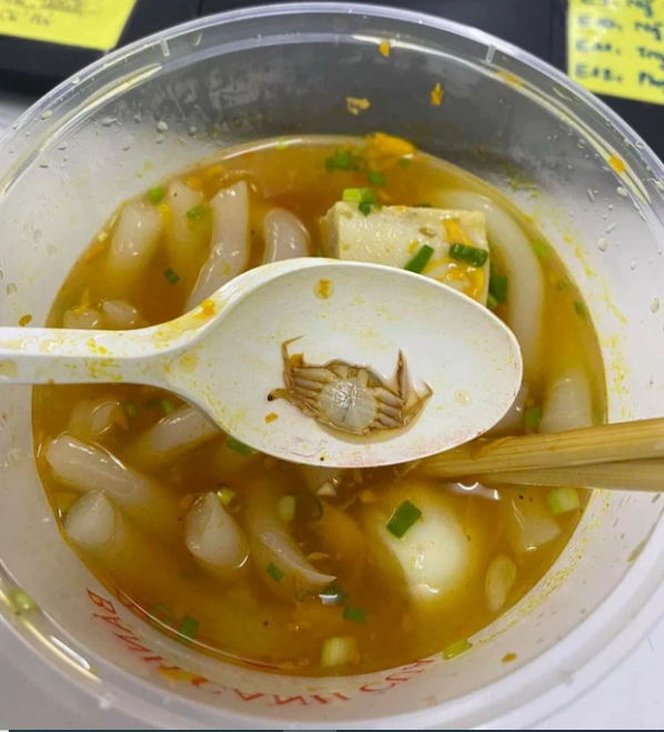 Order bánh canh cua về ăn, cô gái 'cân nín' khi nhìn thấy điều kỳ lạ này 1 Order bánh canh cua về ăn, cô gái 'cân nín' khi nhìn thấy điều kỳ lạ này 1