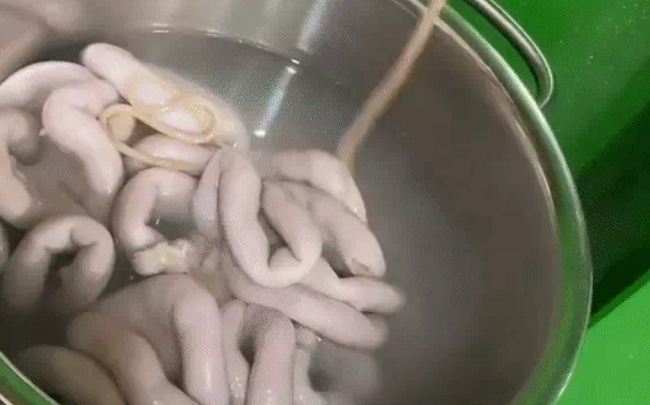 Đang chế biến con lươn, cô gái khiến dân mạng kinh hãi khi lôi ra 2 con sán đỏ dài ngoằng 4 Đang chế biến con lươn, cô gái khiến dân mạng kinh hãi khi lôi ra 2 con sán đỏ dài ngoằng 4