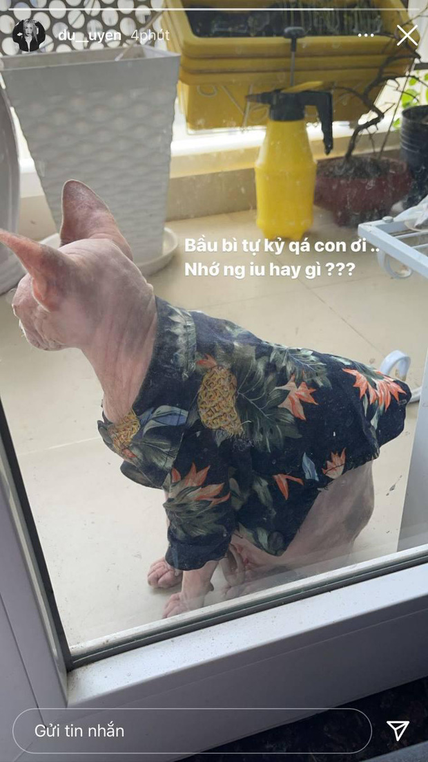 Sau phát ngôn 'nghèo nhưng không hèn' của Đạt G, Du Uyên liền có động thái mới 2 Sau phát ngôn 'nghèo nhưng không hèn' của Đạt G, Du Uyên liền có động thái mới 2