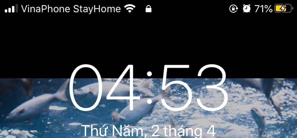 Sau Vinaphone, các nhà mạng Việt Nam đồng loạt triển khai thông điệp '#StayHome' 1