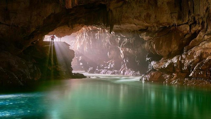 Bí mật về loài 'rồng con' cực hiếm xuất hiện ở hang động Slovenia 8