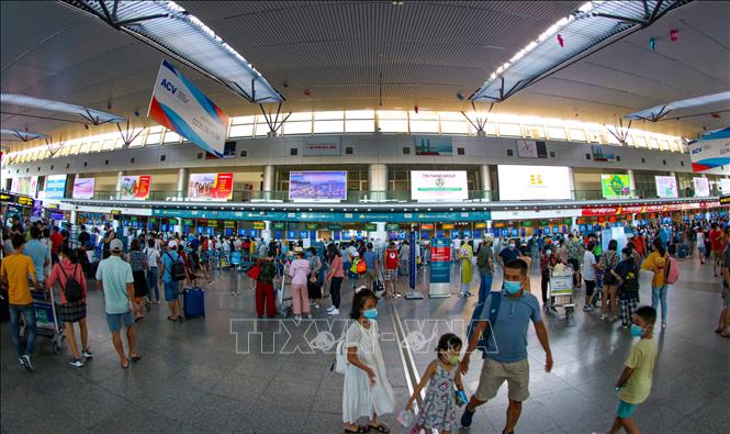 Đà Nẵng thực hiện cách ly xã hội toàn thành phố, hơn 200 du khách đang bị kẹt lại 3