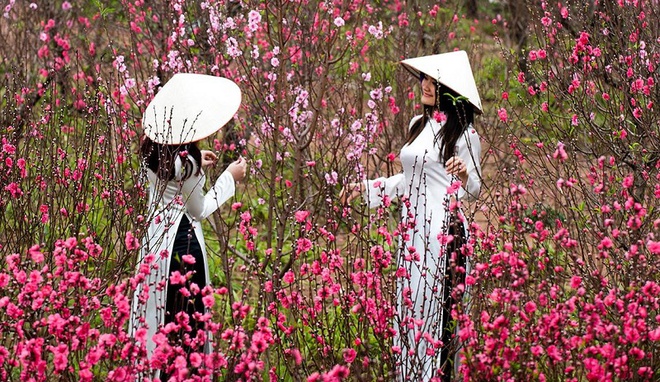Cập nhật tình hình thời tiết Tết Nguyên đán: Trước Tết có thể mưa dông, mưa đá diện rộng 1 Cập nhật tình hình thời tiết Tết Nguyên đán: Trước Tết có thể mưa dông, mưa đá diện rộng 1