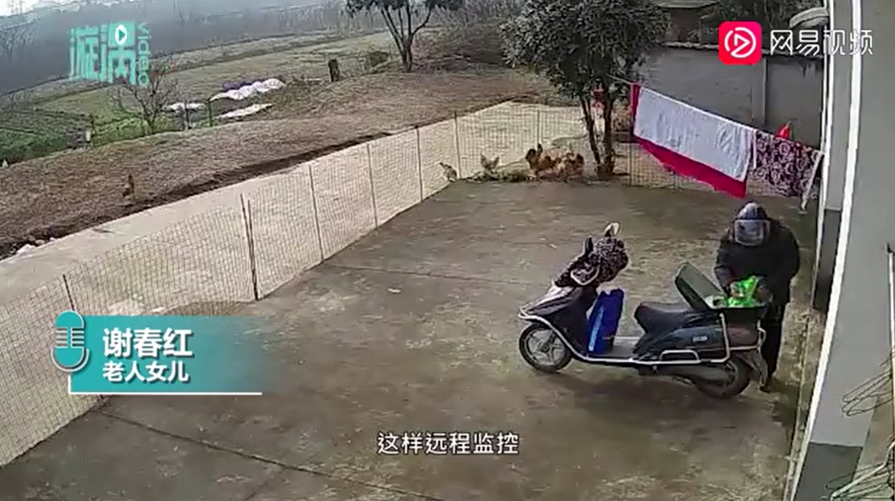 Lấy chồng xa, 4 cô con gái chạnh lòng xem bố mẹ đón Tết qua camera 2 Lấy chồng xa, 4 cô con gái chạnh lòng xem bố mẹ đón Tết qua camera 2