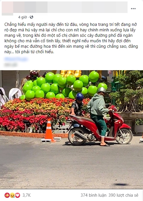Vừa hết tết, người dân đã vội ra đường 'hôi hoa' đem về nhà 1 Vừa hết tết, người dân đã vội ra đường 'hôi hoa' đem về nhà 1