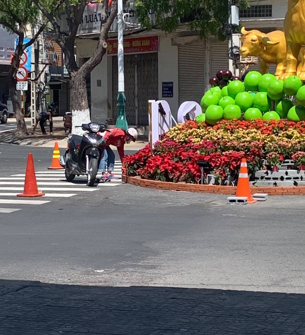 Vừa hết tết, người dân đã vội ra đường 'hôi hoa' đem về nhà 3 Vừa hết tết, người dân đã vội ra đường 'hôi hoa' đem về nhà 3