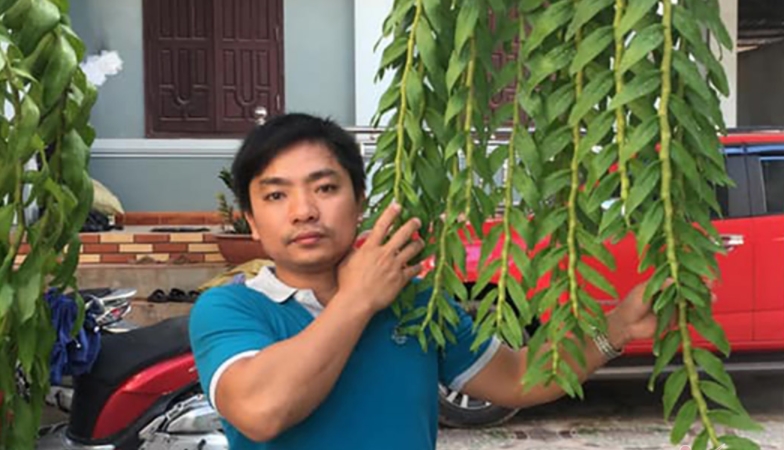 Xôn xao lan Hồng Bồng Lai chỉ cao 7 cm nhưng được bán với giá cả tỷ đồng 2 Xôn xao lan Hồng Bồng Lai chỉ cao 7 cm nhưng được bán với giá cả tỷ đồng 2